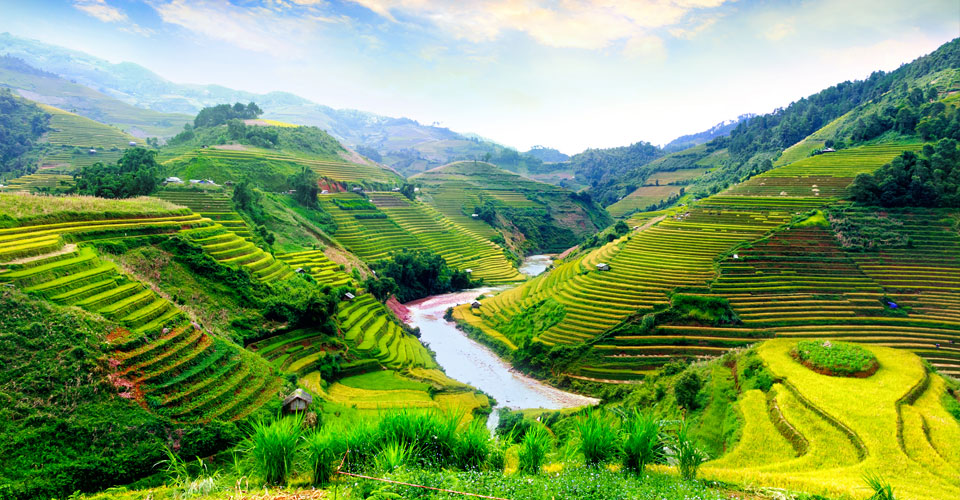 Cosa vedere in Vietnam, consigli di viaggio   | Allianz Global Assistance