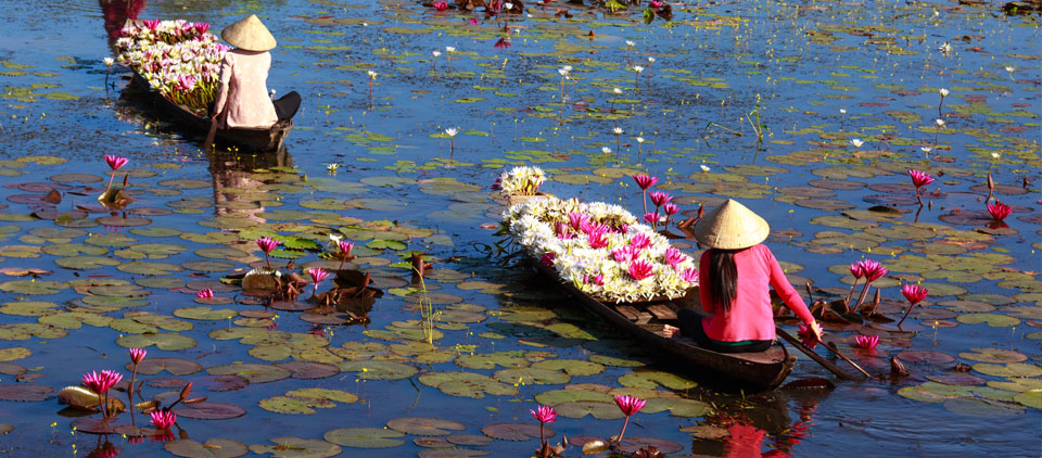 Cosa vedere in Vietnam, consigli di viaggio | Allianz Global Assistance