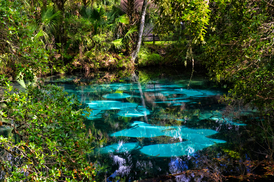 Cosa vedere in Florida: un tour fra città e natura | Allianz Global Assistance