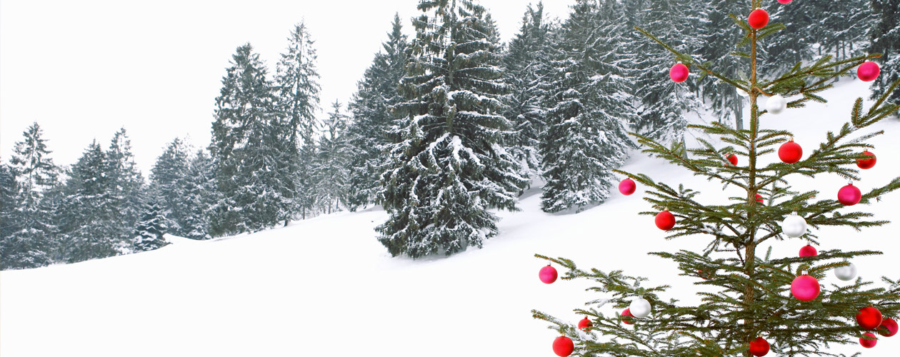 Vacanze di Natale, dove andare in montagna? | Allianz Global Assistance