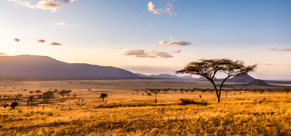 Vacanze in Kenya, quali vaccini fare?  | Allianz Global Assistance