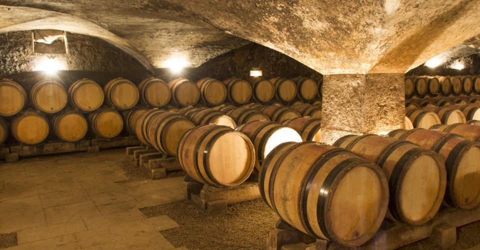 Borgogna: cosa vedere nella regione francese vitivinicola per eccellenza  | Allianz Global Assistance